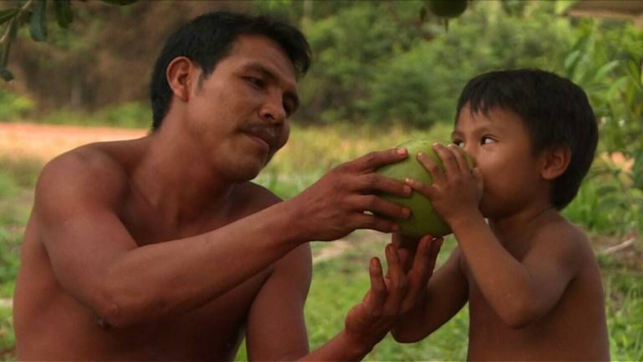 Amazonie: Voyage entre deux mondes pour défendre la tribu Waiapi