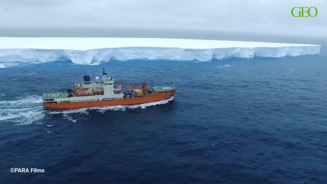 VIDÉO - Antarctique : les coulisses d'une expédition scientifique