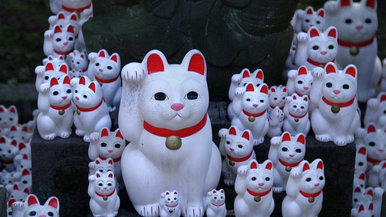 Japon : à Tokyo, un temple du chat fait fureur sur les réseaux sociaux
