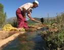 Au Maroc, "l'eau solaire" pour faire revenir les agriculteurs