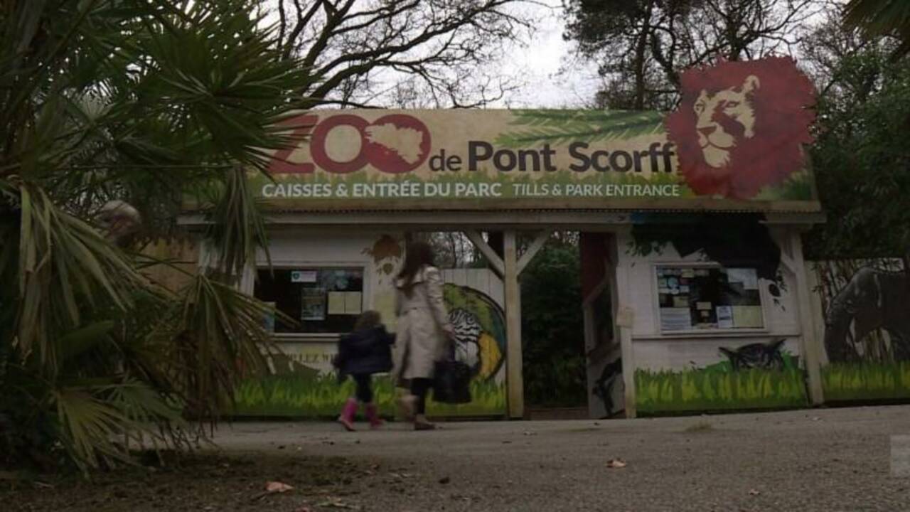 Au zoo, des autistes travaillent auprès des animaux en Bretagne