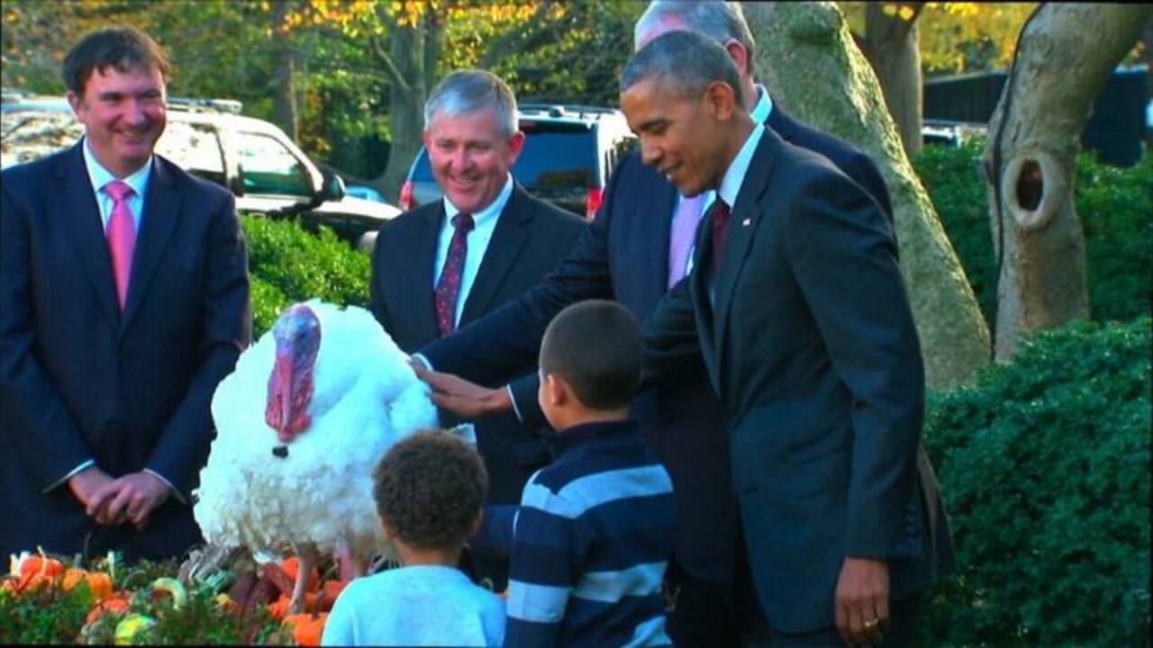 Barack Obama gracie une dinde pour Thanksgiving