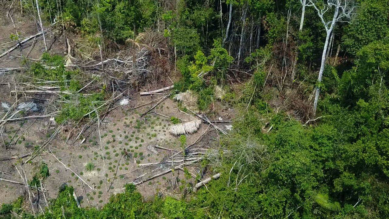 VIDÉO – Brésil : une tribu isolée repérée en Amazonie