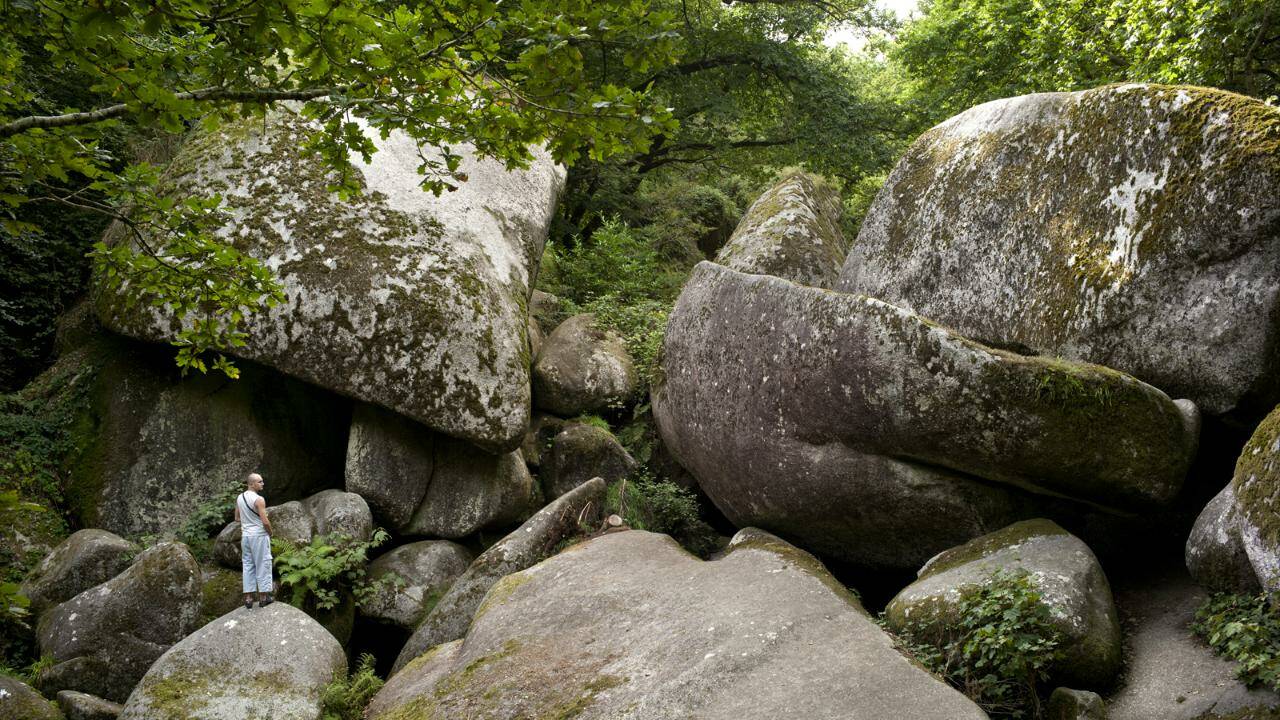 VIDÉO - Bretagne : Huelgoat, une forêt qui fourmille de légendes