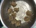 Cambodge: naissance de 9 tortues royales en voie d'extinction