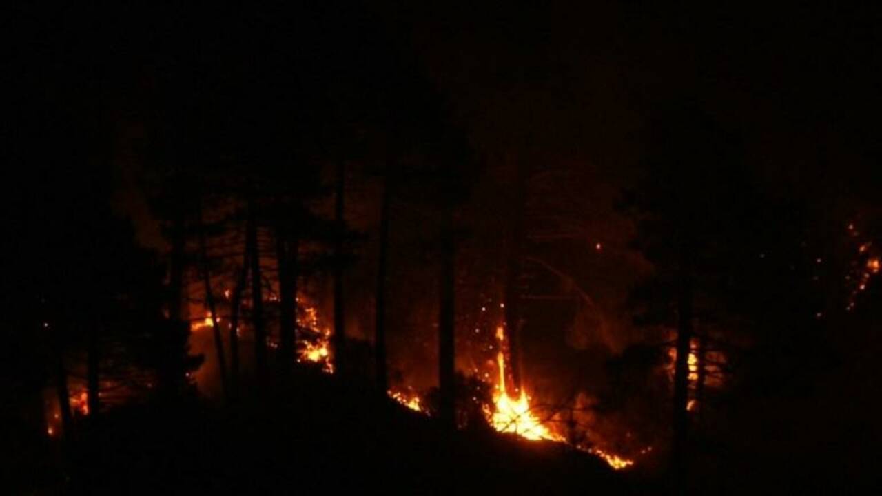 Corse: cinq pompiers blessés dans un feu de maquis