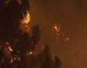 Corse: plus de 2.000 hectares brûlés en Balagne