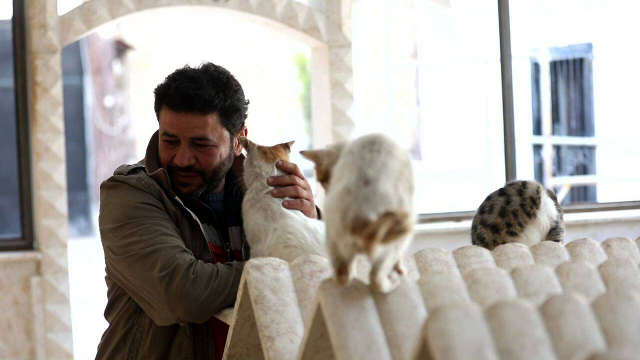 VIDÉO - Dans la Syrie en guerre, un improbable refuge pour chats