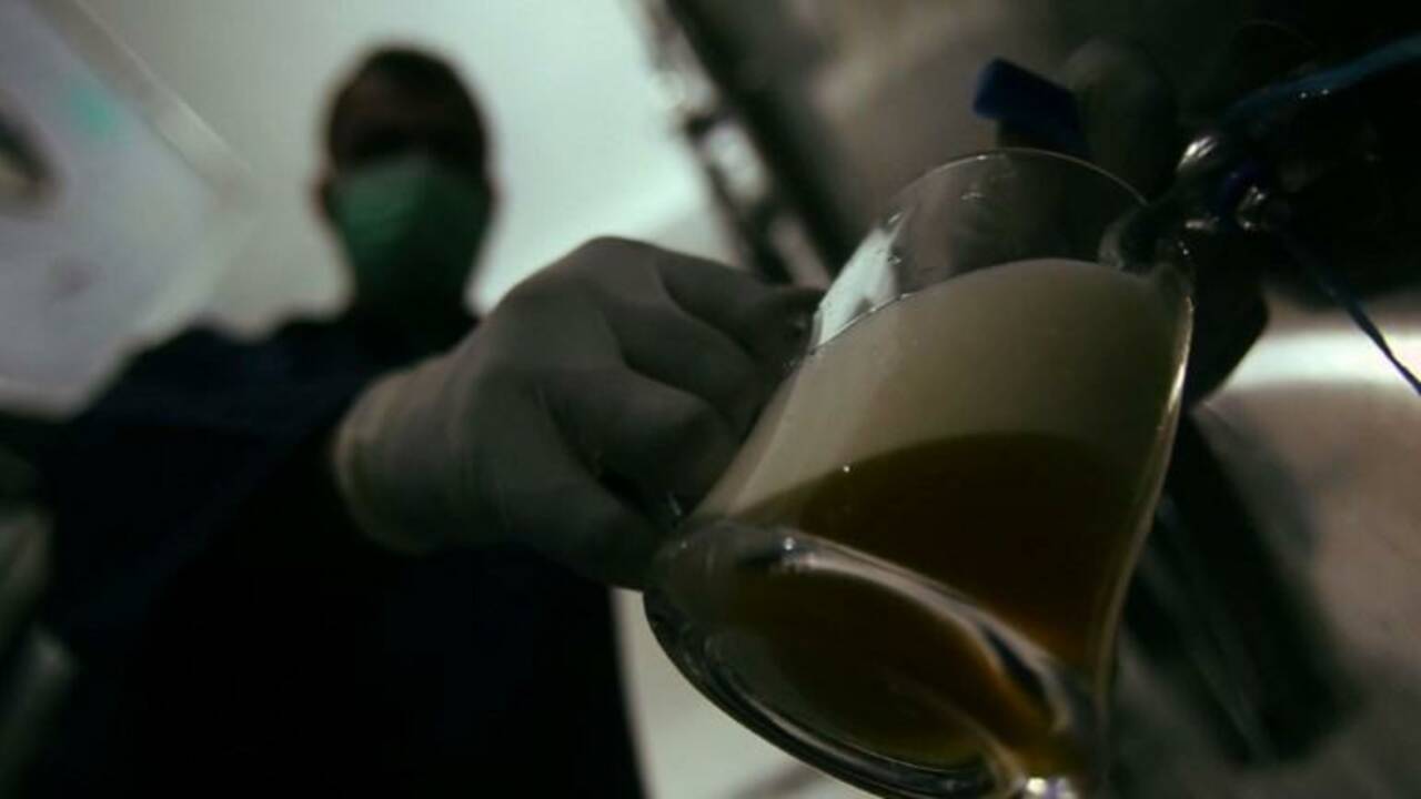 De Damas à Tartous, le retour de la bière 'Made in Syria'