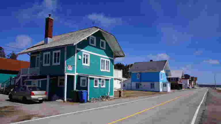 Au Québec, Sur Les Traces Des Bébés Phoques Du Golfe Du Saint-Laurent ...