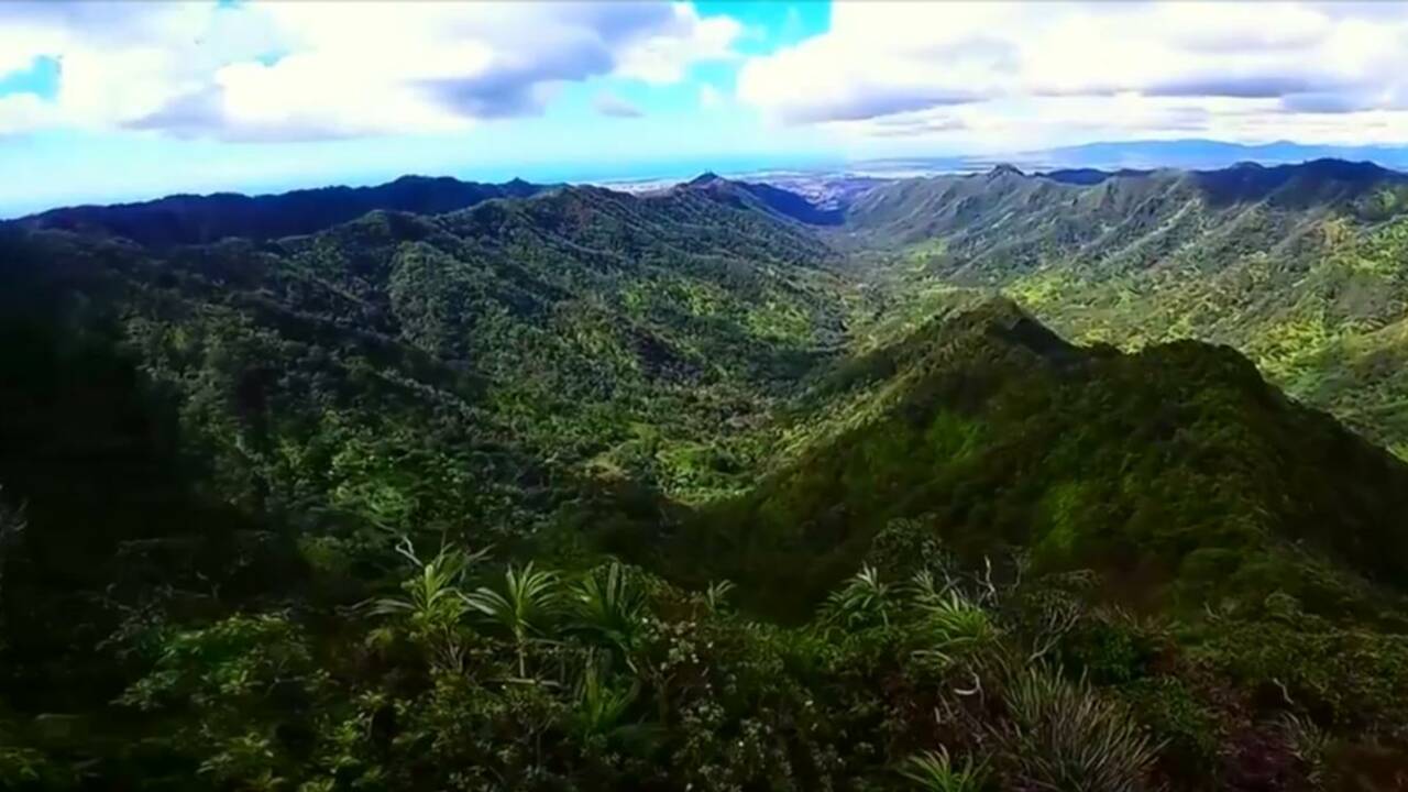VIDÉO - A Hawaii, 3 922 marches pour une vue époustouflante