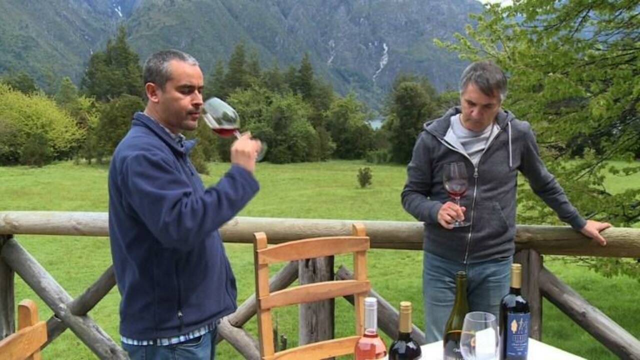 Du vin en Patagonie, conséquence du réchauffement climatique