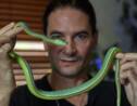 GB: Steve Ludwin, l'homme qui résiste au venin de serpent