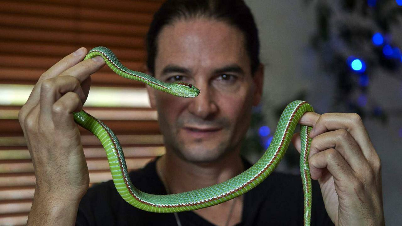 Steve Ludwin, l'homme qui s'injecte du venin de serpent depuis près de 30 ans