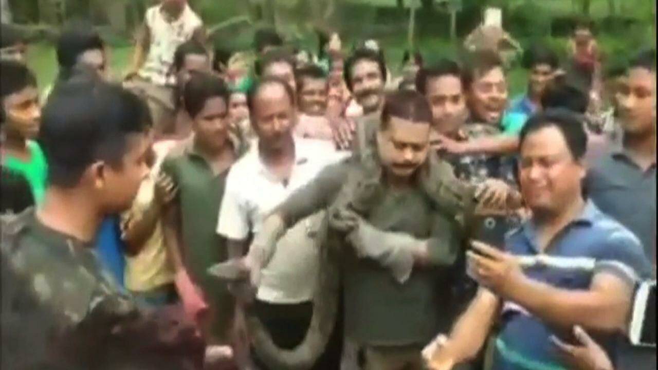 VIDÉO - Inde : un selfie avec un python lui coûte presque la vie