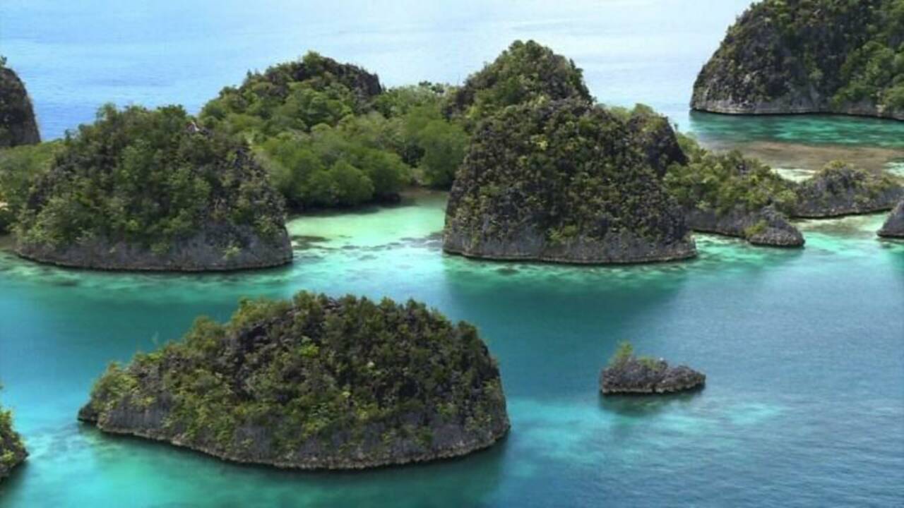 Indonésie : les îles de Raja Ampat, un paradis en sursis