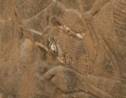 Irak: le site antique de Nimrod repris à l'EI, mais détruit