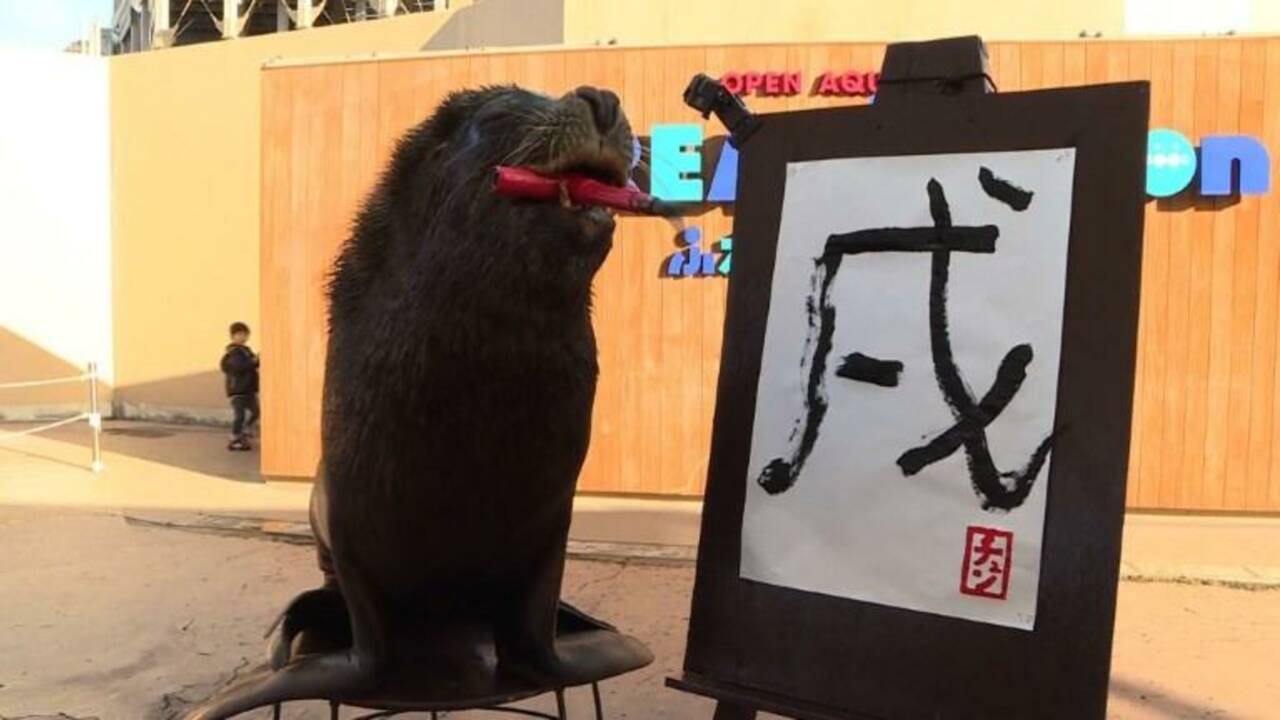 Japon: un lion de mer fait de la calligraphie à Yokohama