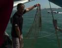 L'ONG Sea Shepherd reprend sa chasse aux filets "fantômes"