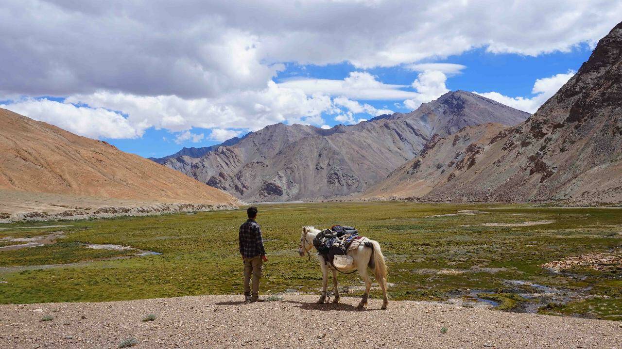 Robert, le super cheval de l'aventurier Eliott Schonfeld dans l'Himalaya