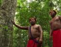 Au cœur de l'Amazonie, source de vie des indiens Waiapi