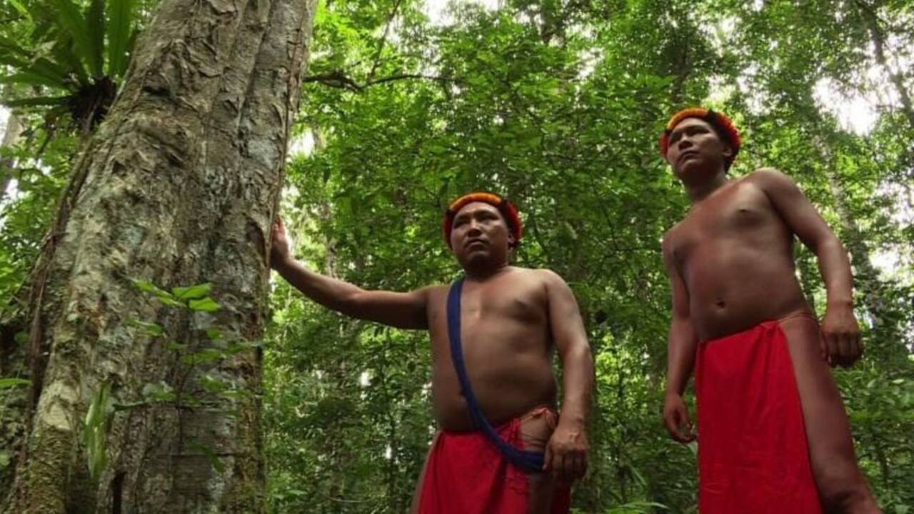 Au cœur de l'Amazonie, source de vie des indiens Waiapi