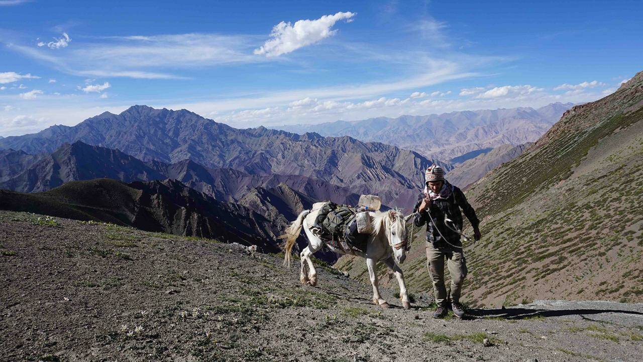 "Mon cheval est tombé dans le vide" : la plus grosse galère d'Eliott Schonfeld dans l'Himalaya