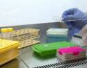 La Haye: un nouveau laboratoire ADN pour les personnes disparues