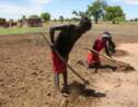 La malnutrition augmente en Afrique, met en garde l'ONU