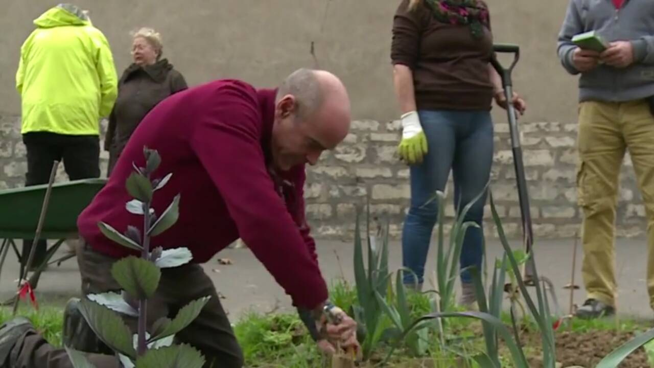 Le besoin de verdure pousse les Parisiens à jouer les jardiniers
