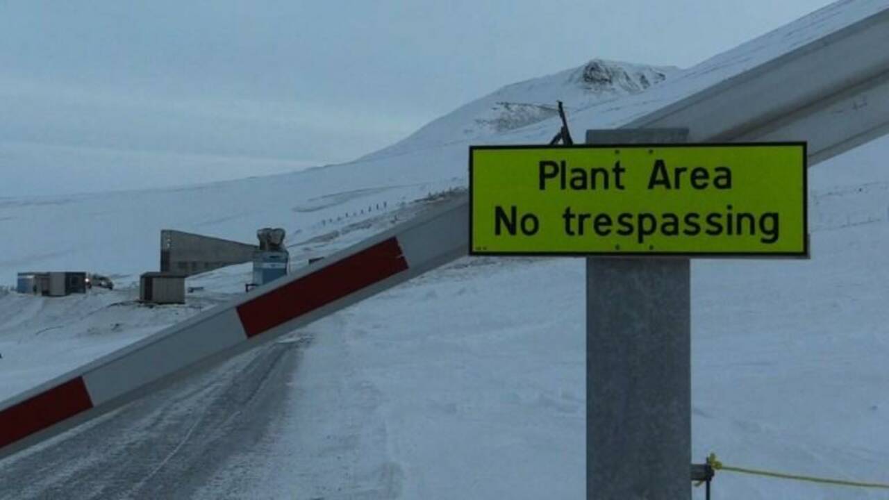 Le réchauffement menace "l'Arche de Noé végétale" en Arctique