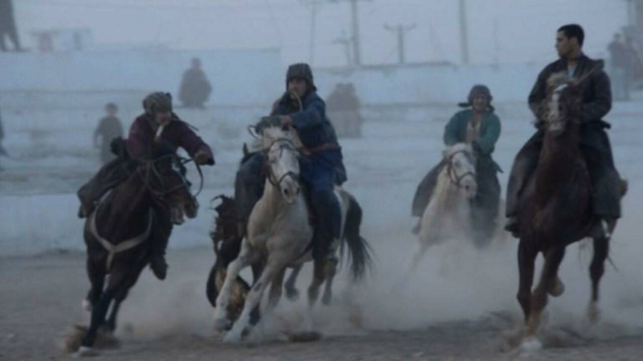 Les chevaux "bouzkashi" d'Afghanistan se préparent au combat...