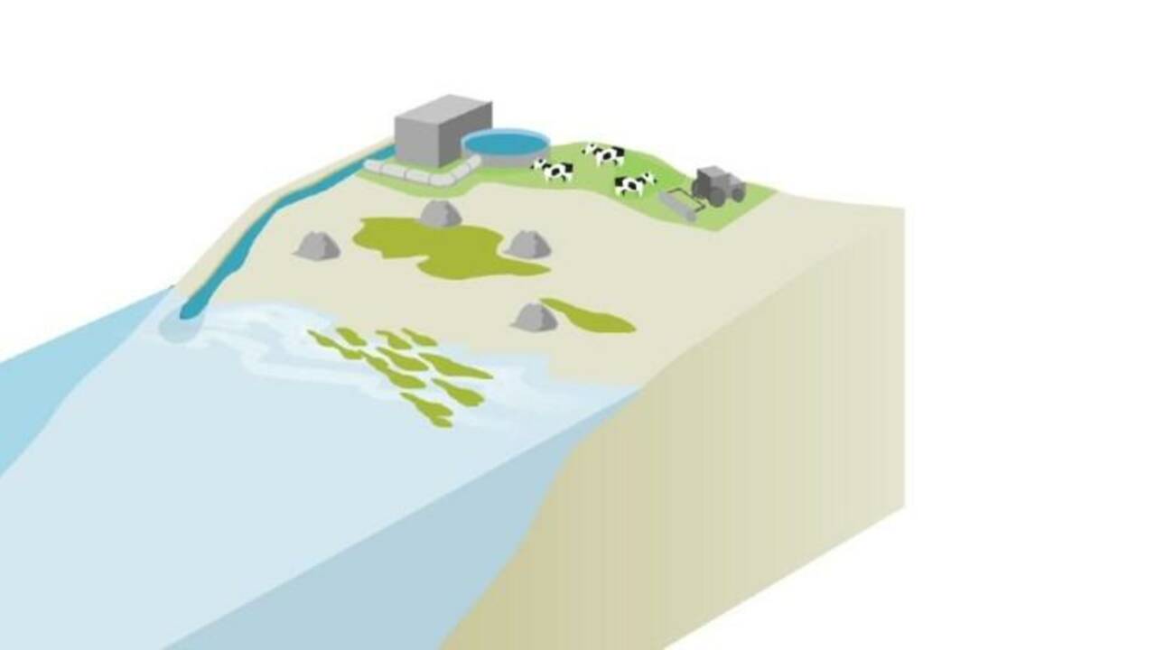 Bretagne: les marées vertes de retour sur les plages