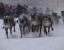 VIDÉO - Les nomades nenets s'affrontent dans des courses de rennes
