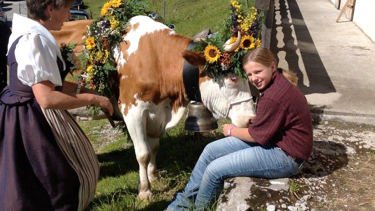 VIDÉO - Les vaches les plus heureuses du monde