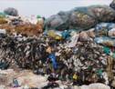 Pollution: le Kenya interdit les sacs en plastique