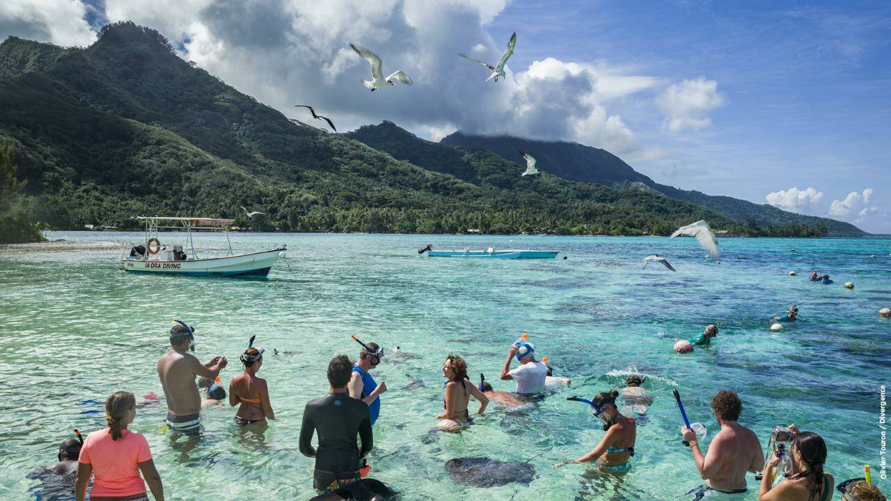 Immersion dans les somptueux lagons de Polynésie