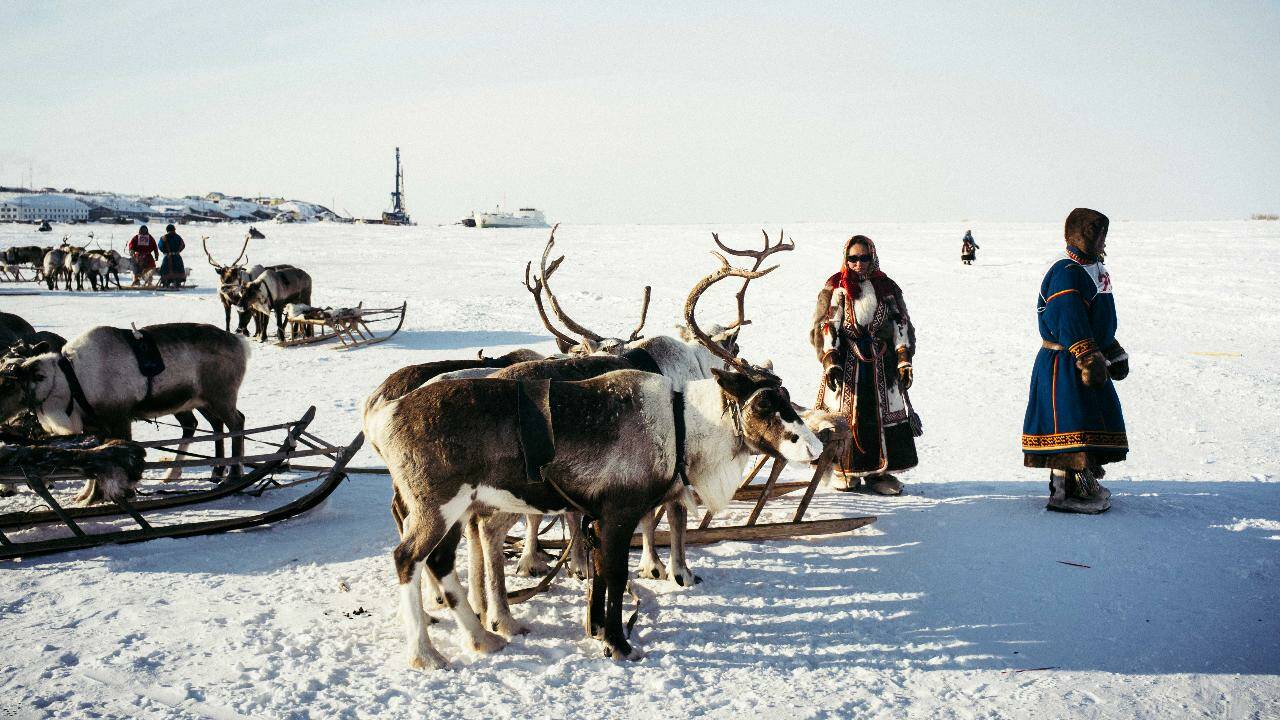 Yamal, péninsule russe de l'extrême : le récit de notre photographe