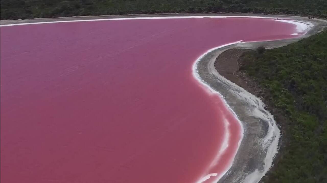 VIDÉO - Survolez un lac rose bonbon en Australie