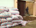 Une cargaison de 3 tonnes d’écailles de pangolin saisie