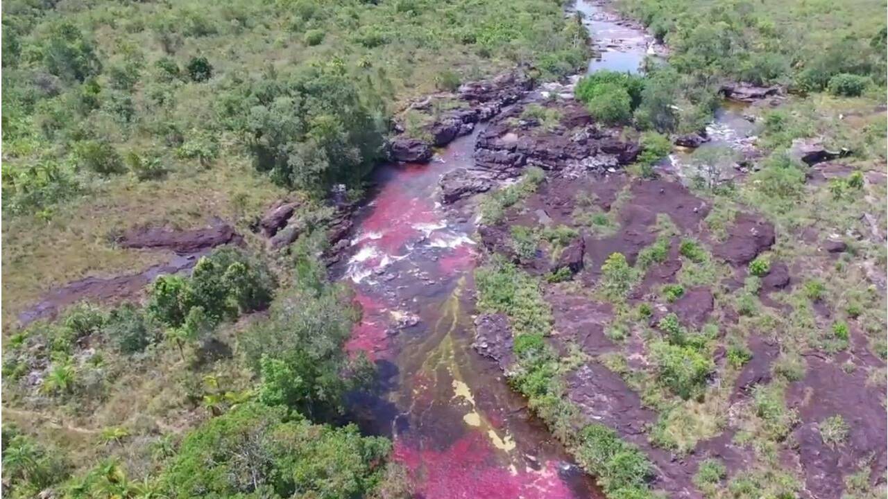VIDÉO - Une étonnante "rivière aux cinq couleurs" en Colombie