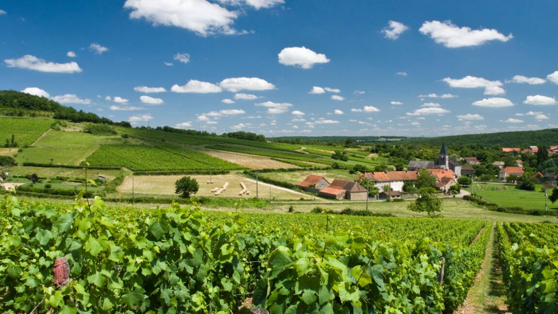 Quiz voyage : testez vos connaissance sur la Bourgogne 