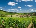 Quiz voyage : testez vos connaissance sur la Bourgogne 