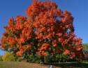 10 superbes photos aux couleurs de l'automne 