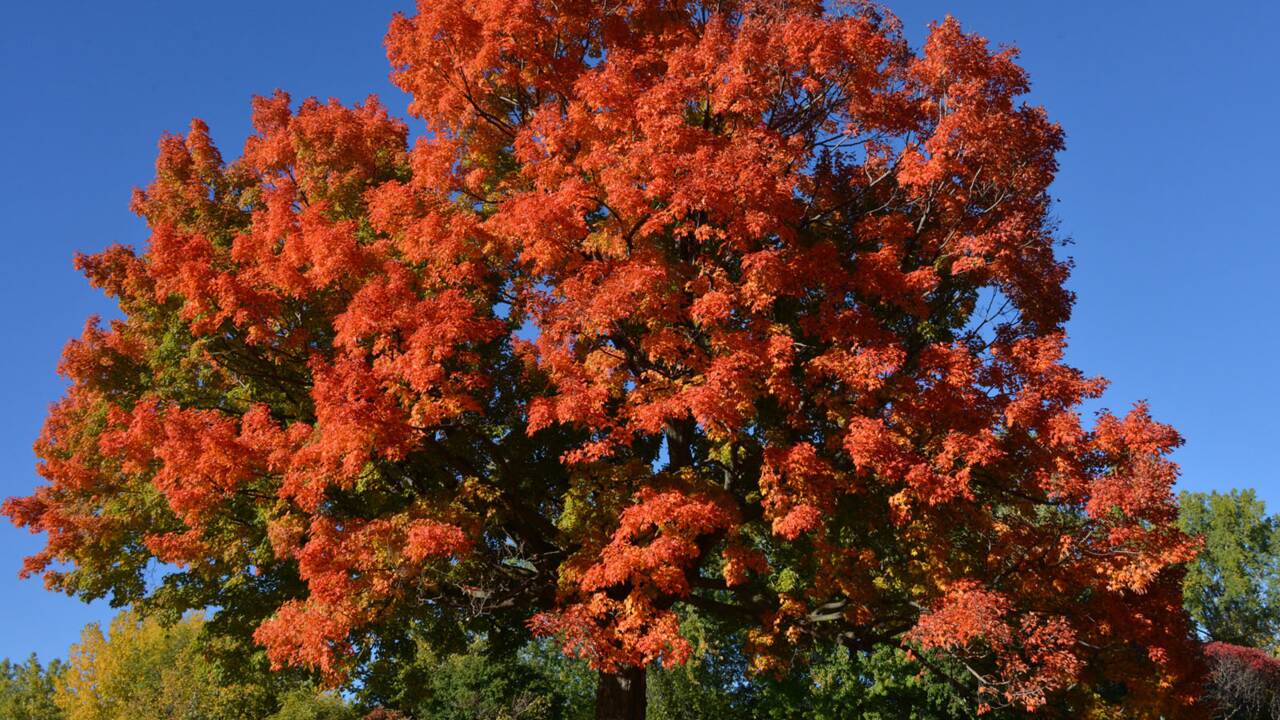 10 superbes photos aux couleurs de l'automne 