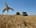 Climat: l'agriculture souhaite être une solution au réchauffement