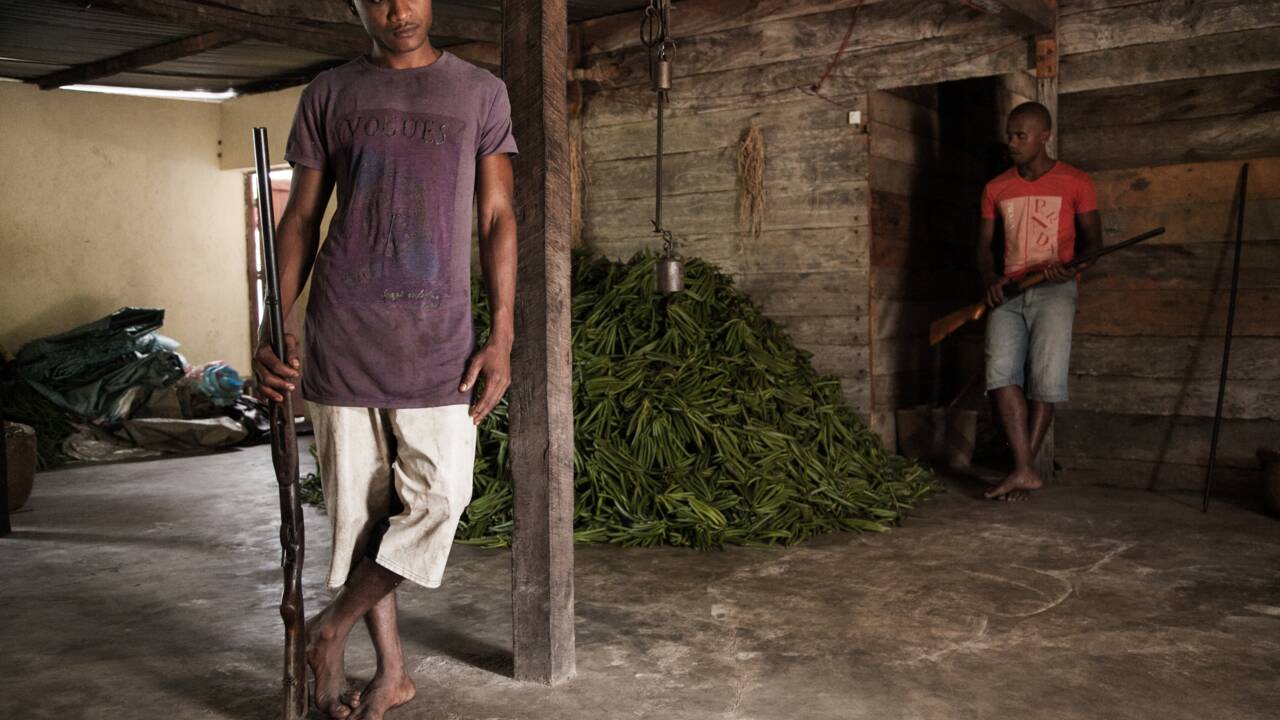 A Madagascar, le prix de la vanille face à une flambée historique