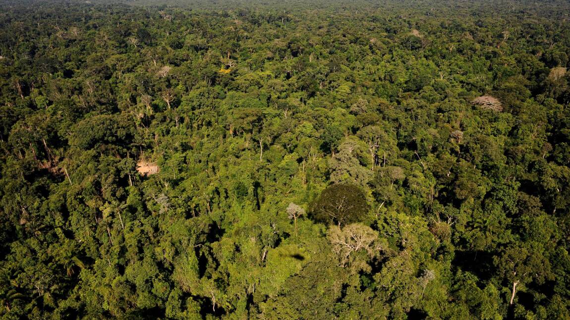 Brésil: la justice suspend l'exploitation minière privée d'une réserve d'Amazonie