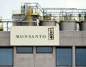 Monsanto, accusé d'"écocide" par un tribunal international informel