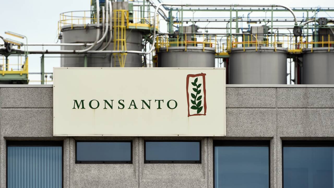 Monsanto plaide coupable d'avoir répandu un pesticide interdit à Hawaï